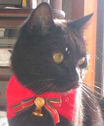 �ڂ��A�ڂ�������