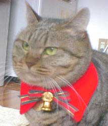 ���E�E���񂿂�[