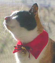 �����܂��~�C