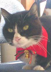 ���[��A�ނ��������Ƃ����