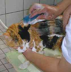 �����I���Ȃ����ȁ[