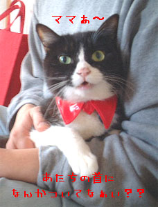 ��`�݁`��`