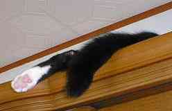 �����`��