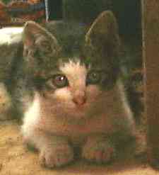 車庫にいる所を隠し撮りしました