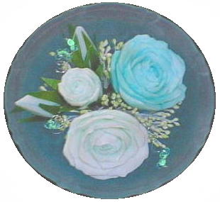 �Ό��𒤂��Ă������K�N