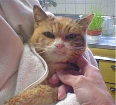 抱っこ大好き♪