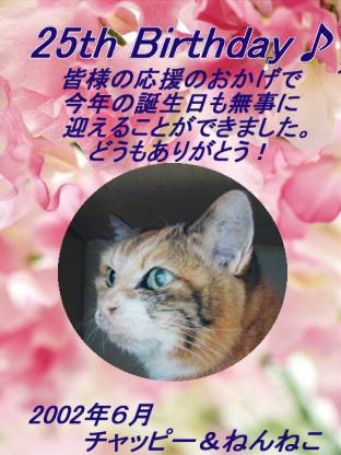 �`���b�s�[���񂨒a�������߂łƂ��R(^o^)��