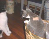 �΂��[�I�I�ł���[�I�I  