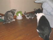 ���ǂ����Ă��������ł��[