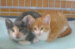 �����B���Ă��������ł���