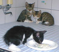 ���������`��