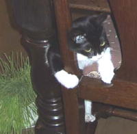 �W�����O���W���݂����Ŋy�����`