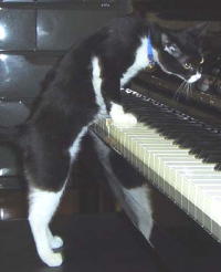 �s�A�m���e�����Ⴄ�H�I