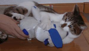 ����������