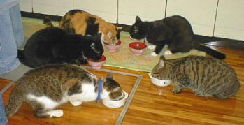 �݂�ȂŁA�͂��͂�