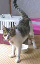 �K���K���̍�