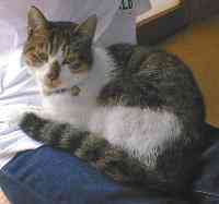 ��������D��