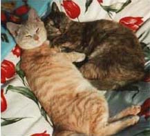 ��������Ԃ�ԁ`