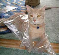 �r�j�[���ܑ�D����