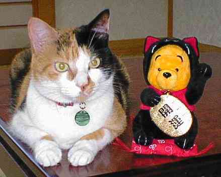 ����ŃA�i�^���J�^�}�`�K�C�i�V�I�I