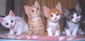 �킽����������3�T�ԂŏE���܂���