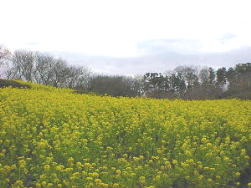 �Â�����ł����ς�(^�^)