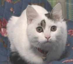 ���ꂢ�ɎB���Ă�