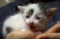 �E��ꂽ�΂���̍�