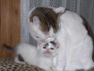 ���������ɊÂ����肵��