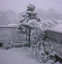 �܂�Ńz���C�g�N���X�}�X