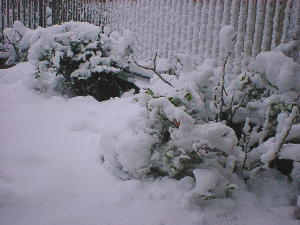 �����Ƃ����Ԃɖ����ꂿ�����