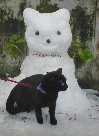 ��˂������