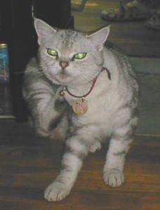 �~���N�}�}