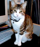 ������Ƃ����܂�