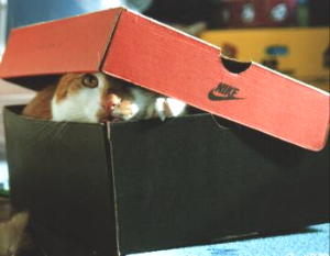 ����[����A�����Ă邼�`