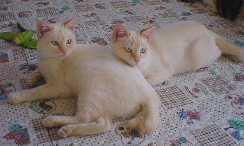 �����ƈꏏ����