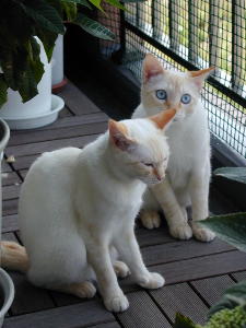 �u�₩�Ȓ���