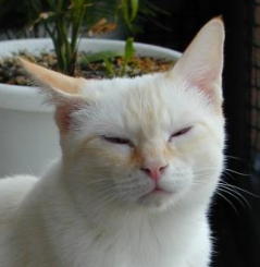 ���������āE�E�E