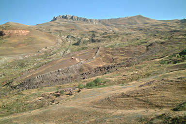 �R�̒����ɂ���ȉ~�`�̏M�`