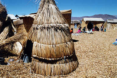 �E���X��