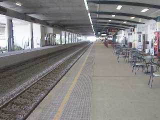 �P�A���Y�w