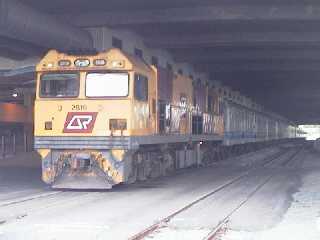 �T�������_�[