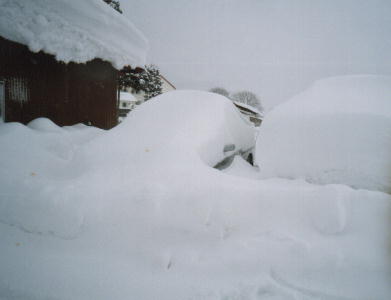 �����ꂽ��