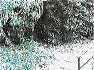 a cave