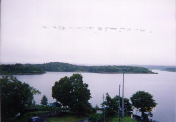 �܂��Ă���̂ł�����Ǝ₵�������܂�