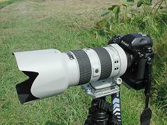 NIKON ED ニコン  AF S 80-200mm F2.8D ライトグレー