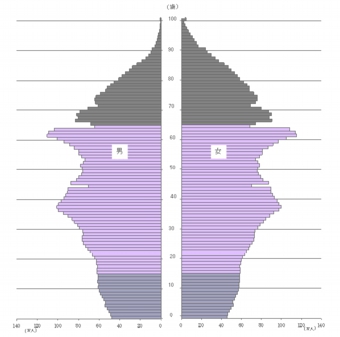 2010年人口ピラミッド