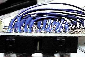 �����g��