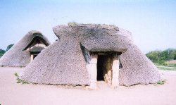 �G�����Z��