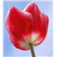 �V�E�����G�f�B�^�̃v���O�����t�@�C���iv.0.7-0.9�j�̃A�C�R��